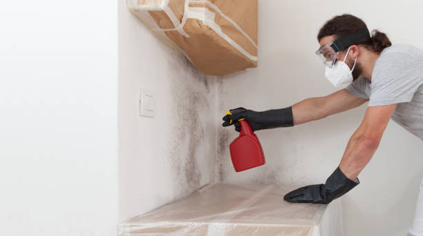 Professional Bathroom Mold Removal technician working in Boyne Falls, MI